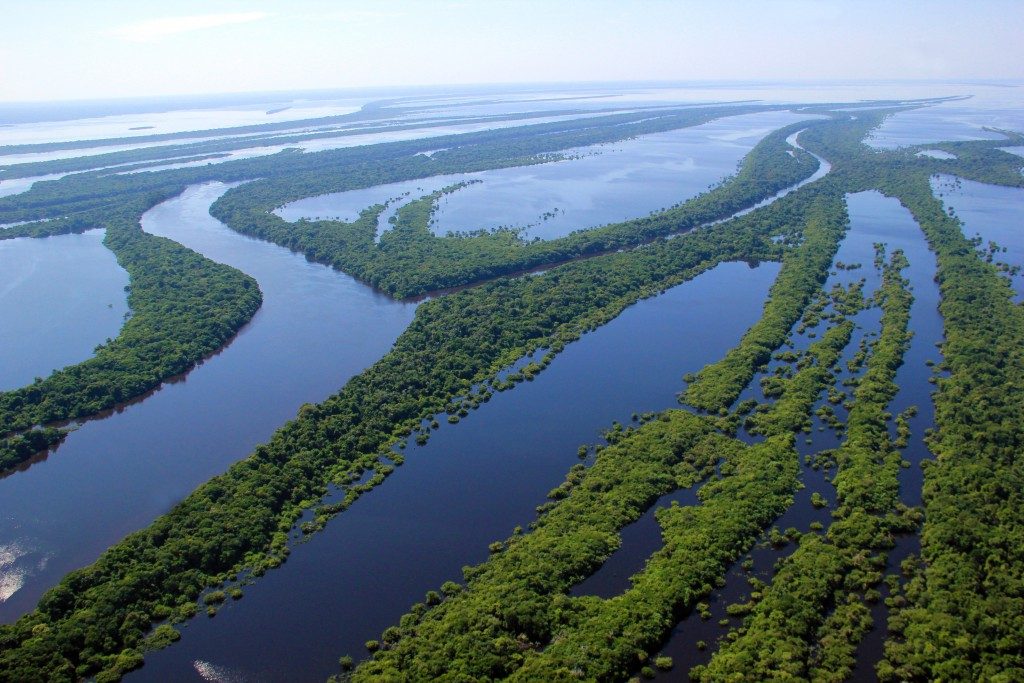 Conheça Manaus Conheça Manaus