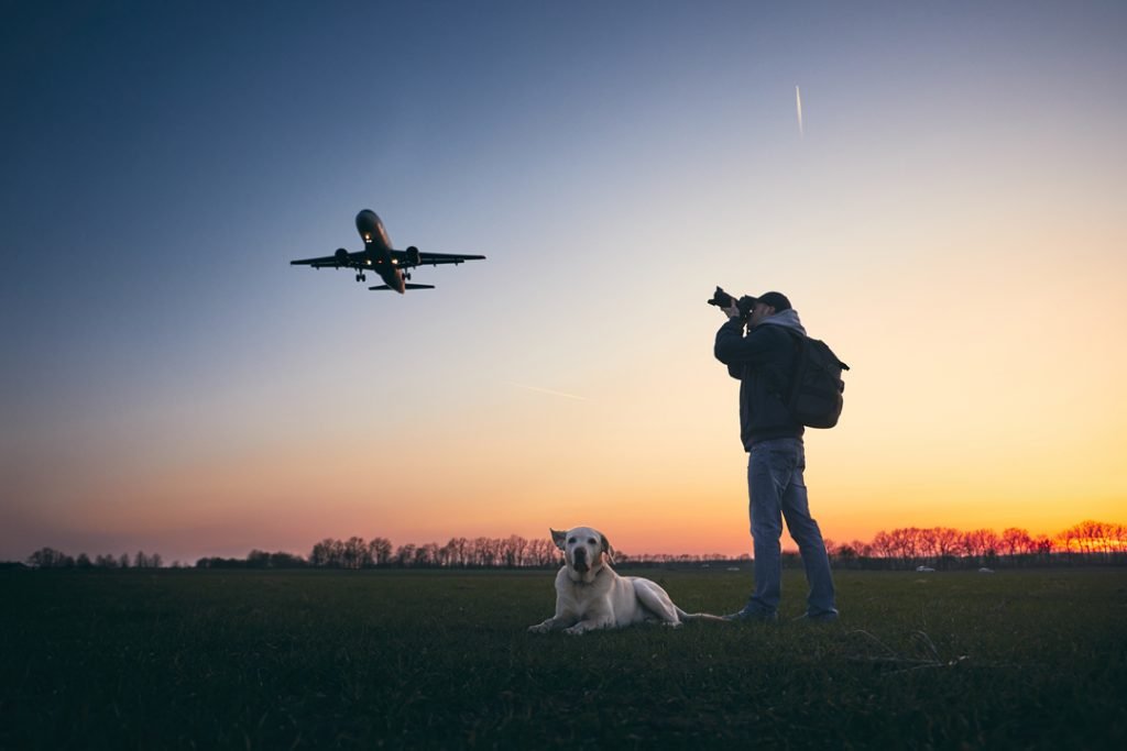 Destinos nacionais; Pets; Gol Destinos nacionais; Pets; Gol