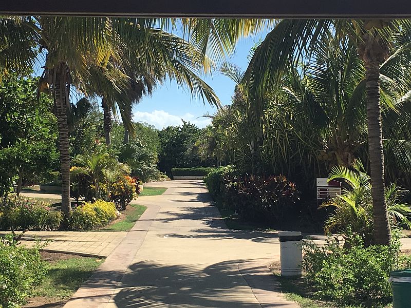área verde no resort em cuba Resort em Cuba