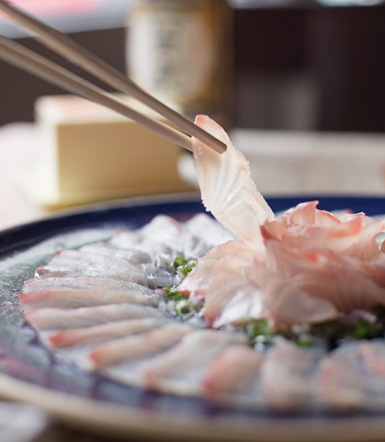 finas fatias de peixe colocadas sobre prato com um hashi pegando uma delas Tiradito do Kibô Sushi