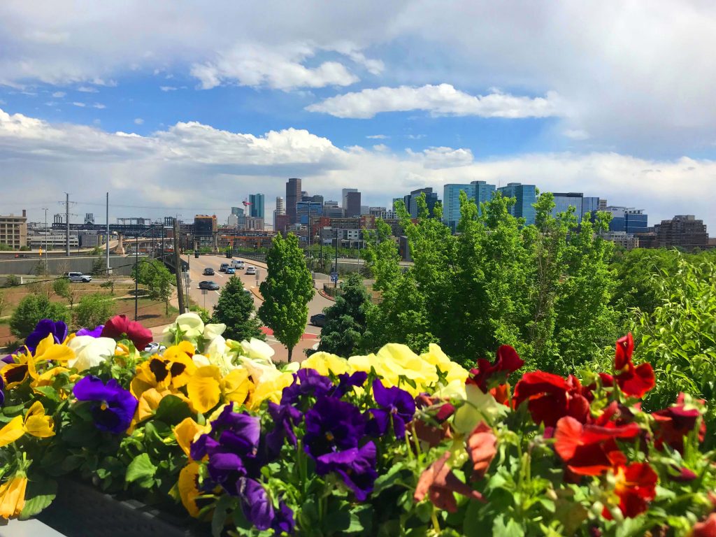 O que fazer em Denver - cidade O que fazer em Denver - cidade