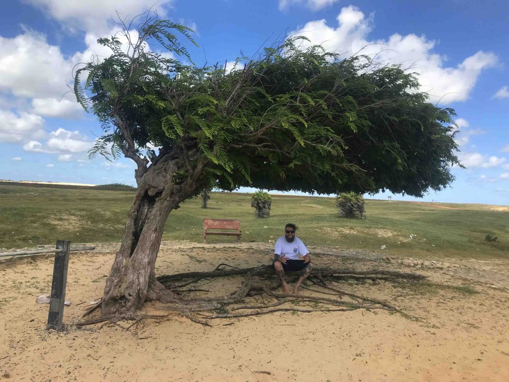 Dicas de viagem pela Rota das Emoções Dicas de viagem pela Rota das Emoções - Árvore Penteada