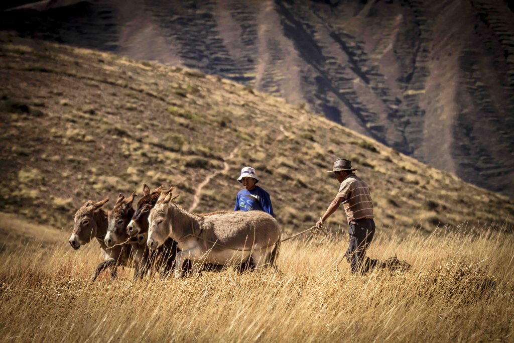Peru