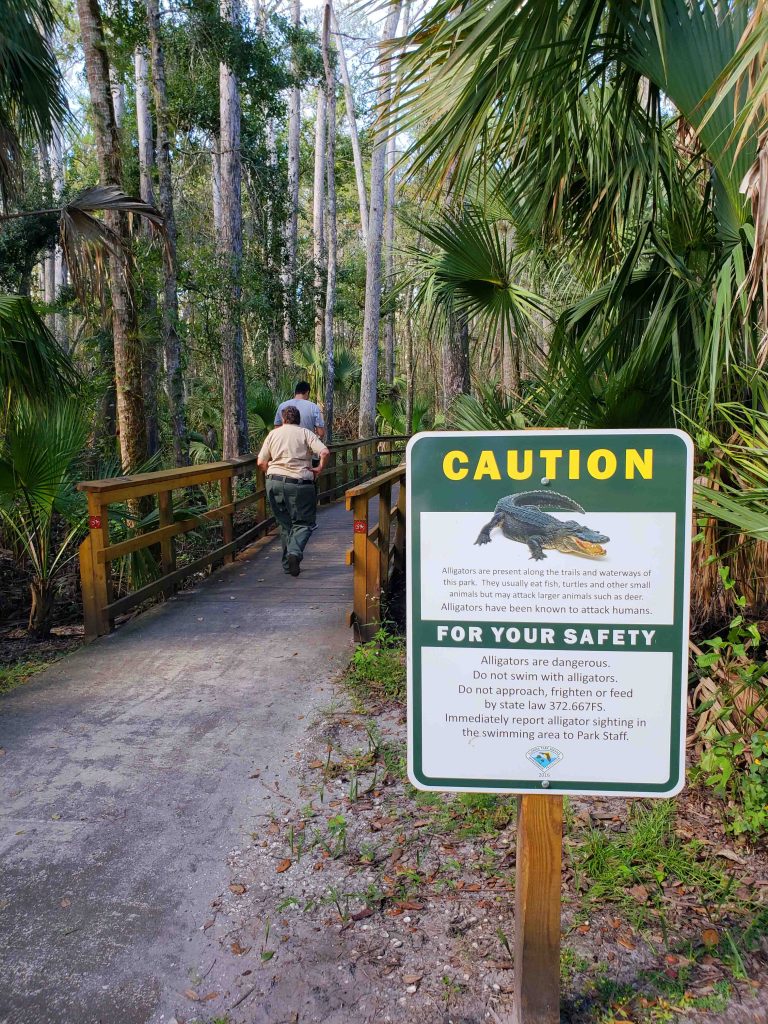 Conheça a Flórida em uma road trip - Highlands Hammock State Park Highlands Hammock State Park
