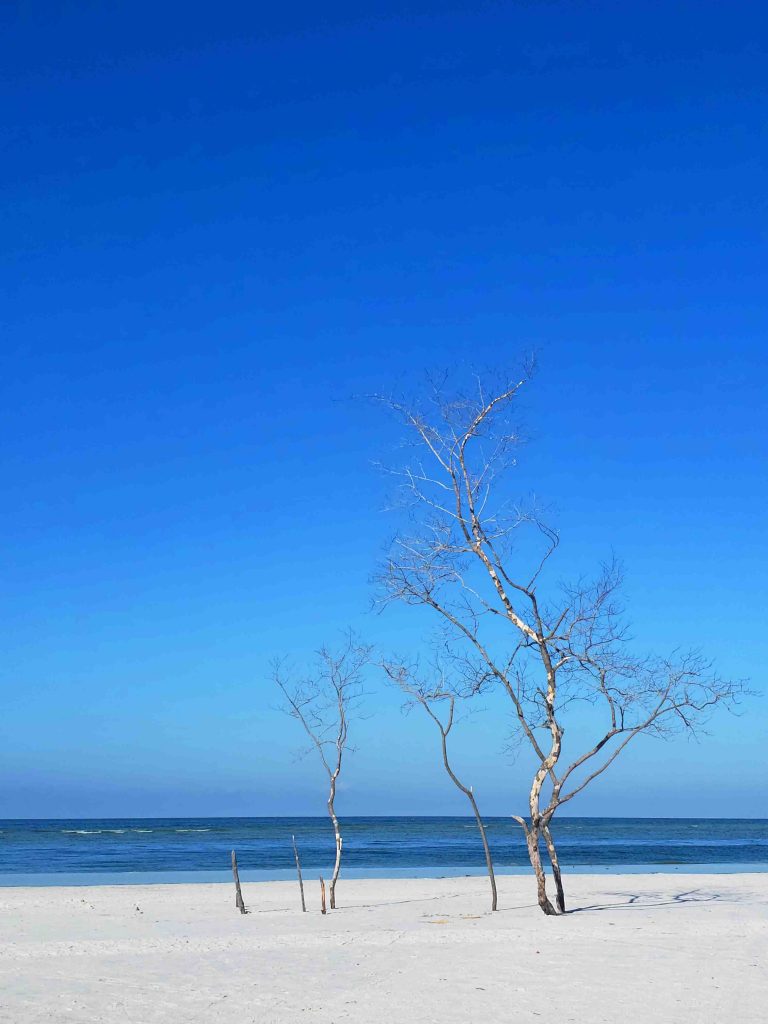 Conheça as praias de St. Pete & Clearwater Conheça as praias de St. Pete & Clearwater