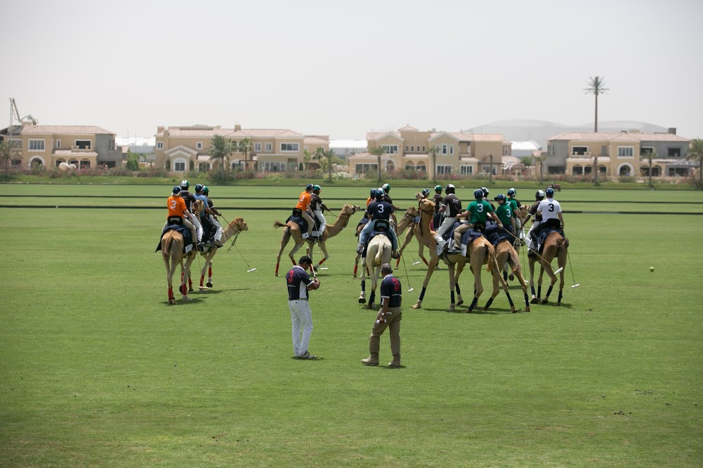O que fazer em Dubai Guia de Dubai
