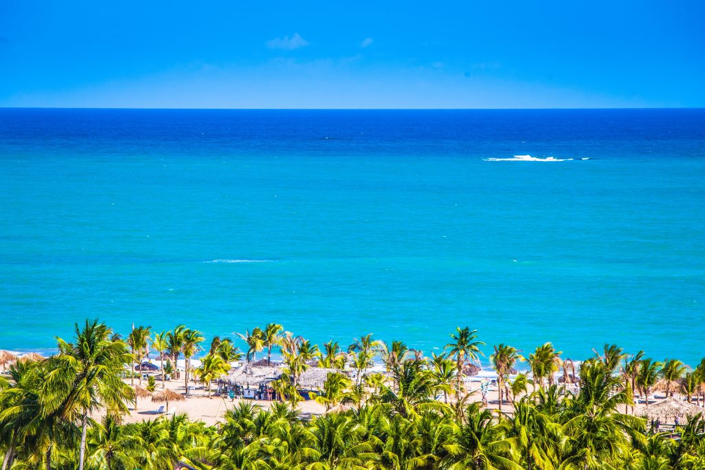 Mar azul de uma praia do Nordeste com coqueiros na areia Praias no Nordeste