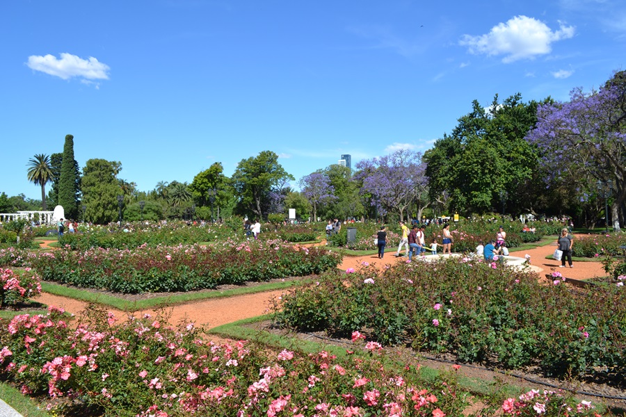 O que fazer em Buenos Aires O que fazer em Buenos Aires