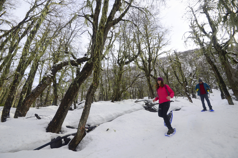 Nevados de Chillán; esqui; neve Nevados de Chillán; esqui; neve