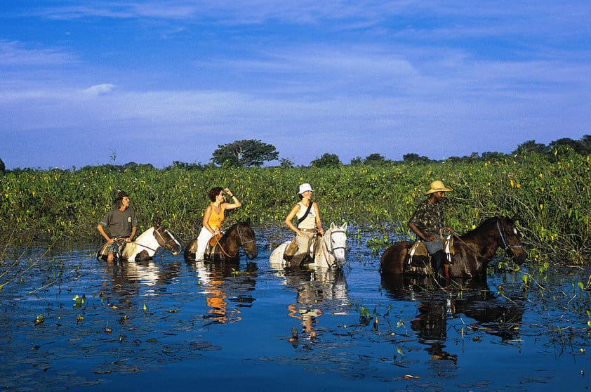 O que fazer no Mato Grosso O que fazer no Mato Grosso
