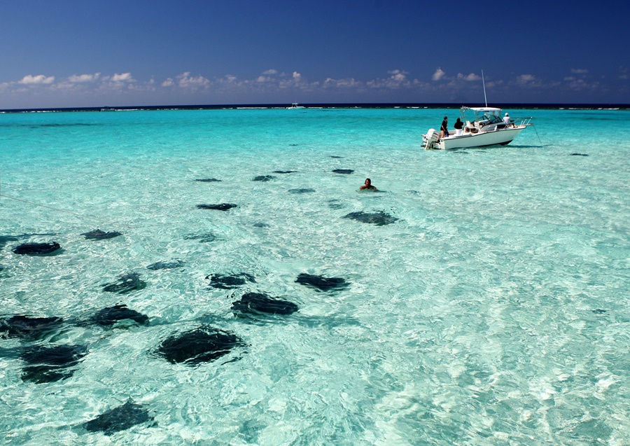 Ilhas Cayman; Cidade das Arraias Ilhas Cayman; Cidade das Arraias