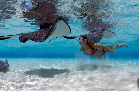 Ilhas Cayman; Cidade das Arraias Ilhas Cayman; Cidade das Arraias
