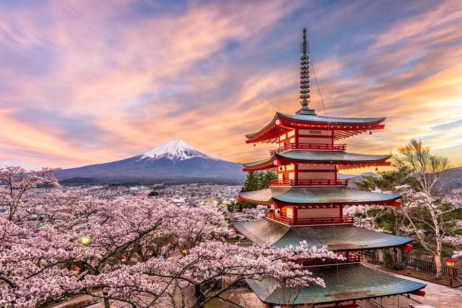 Fuji na primavera com flores de cerejeira. La Casa de Papel