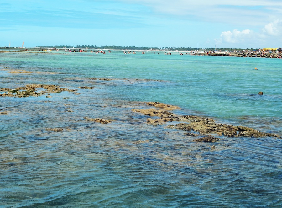 Mar e corais em Porto de Galinhas O que fazer em Porto de Galinhas
