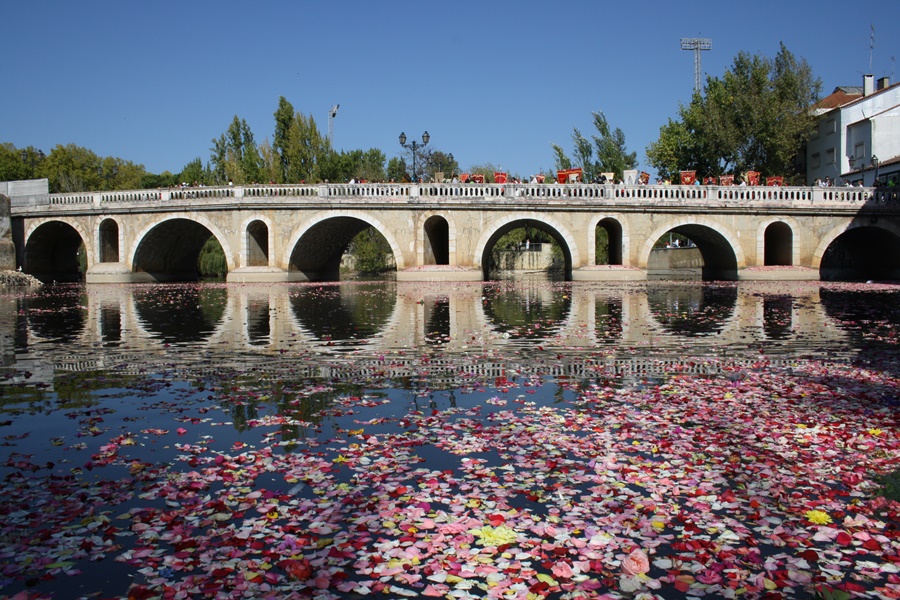 Ponte em Portugal de passagem de água com pétalas de flores rosas Centro de Portugal