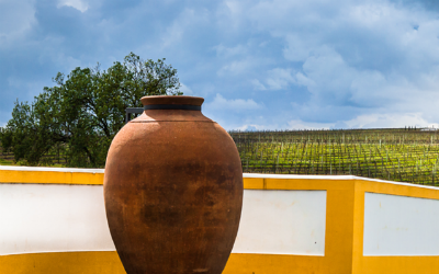 vaso marrom de frente para a paisagem verde de uma vinícola Festival Cultura de Boteco
