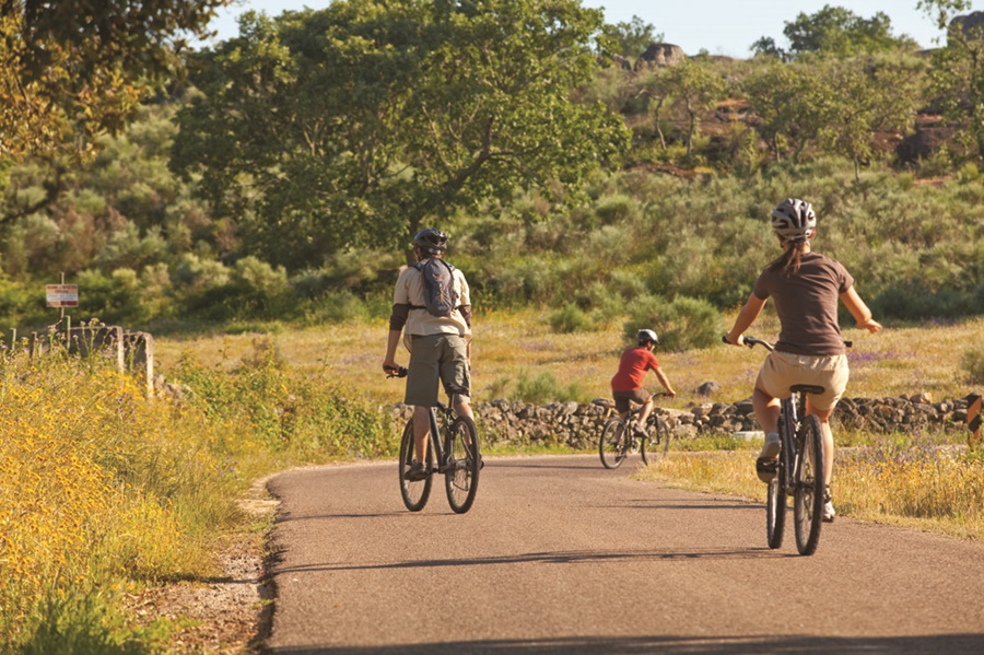 pessoas andando de bicicleta pelo caminho rodeado de verde bicicleta pelo Alentejo