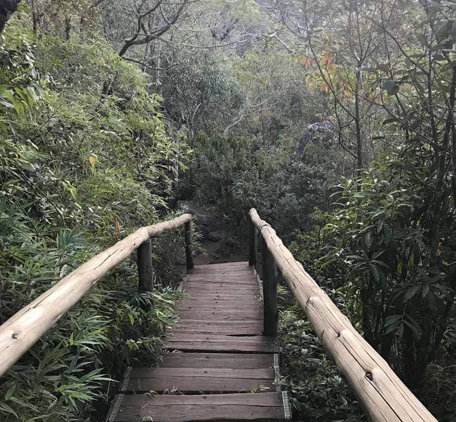 tilha com uma passagem feita de madeira O que fazer em Monte Verde MG