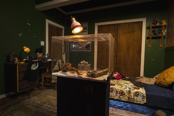 Quarto com baixa iluminação com cama, objetos de decoração, luminária e móveis de madeira Halloween Horror Nights