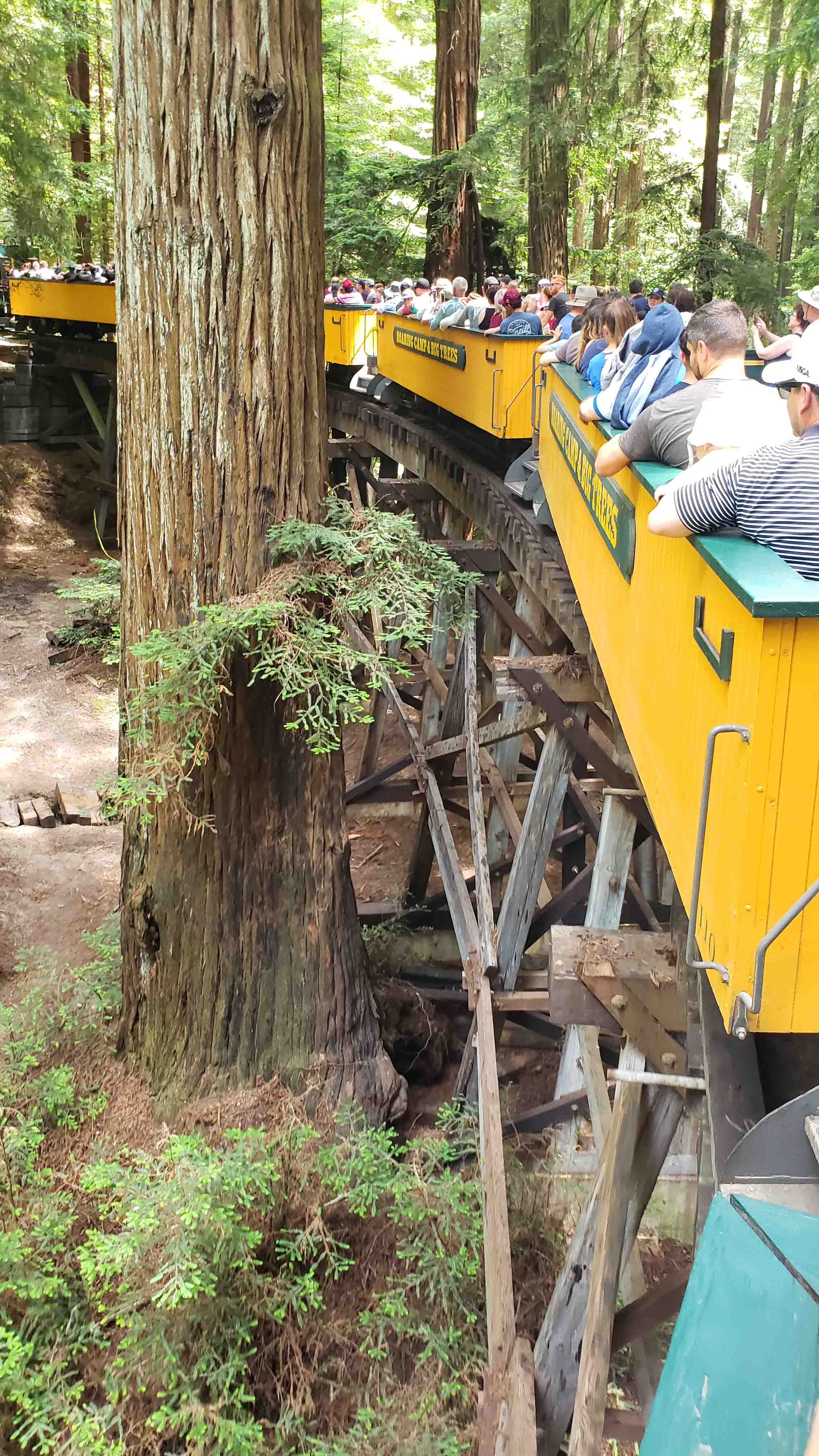 Passeio de Trem