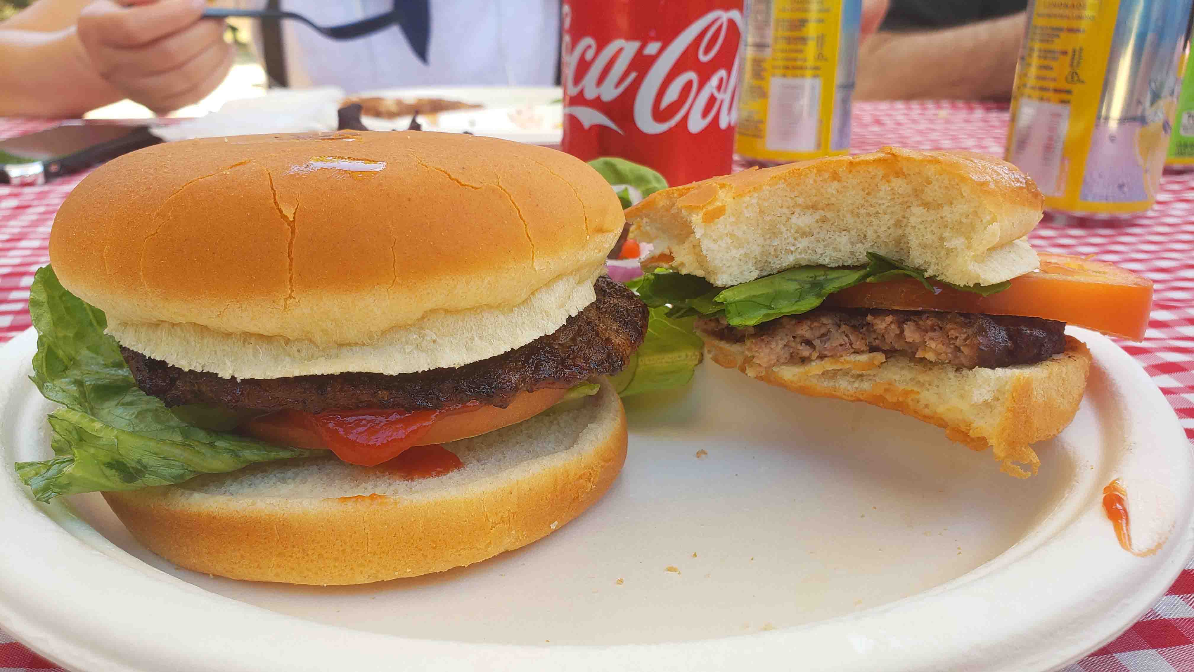 Hambúrguer tipico norte-americano com refringente ao fundo Comidas em Santa Cruz