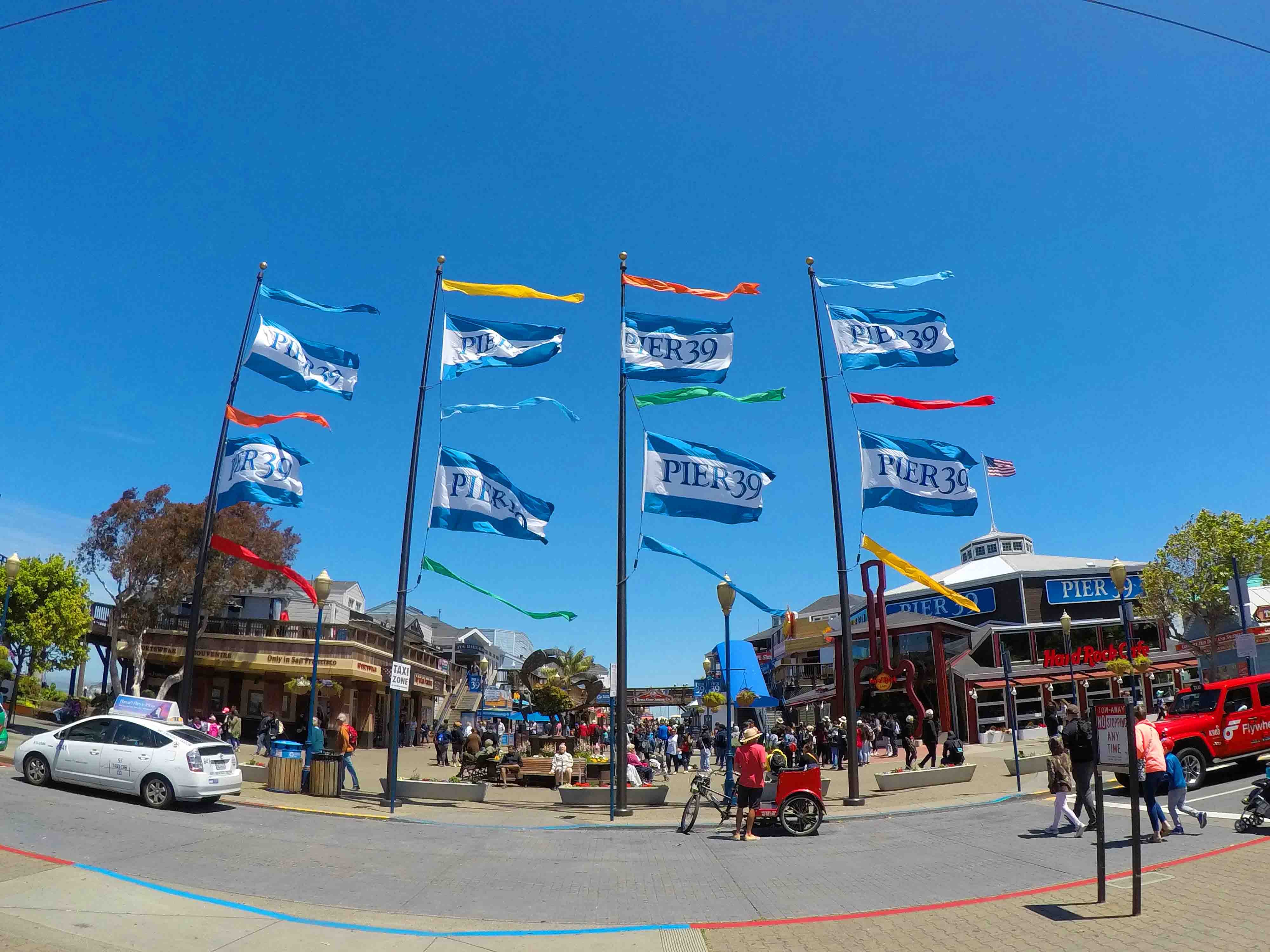 Bandeiras ao vento e predios ao fundo O que fazer em San Francisco