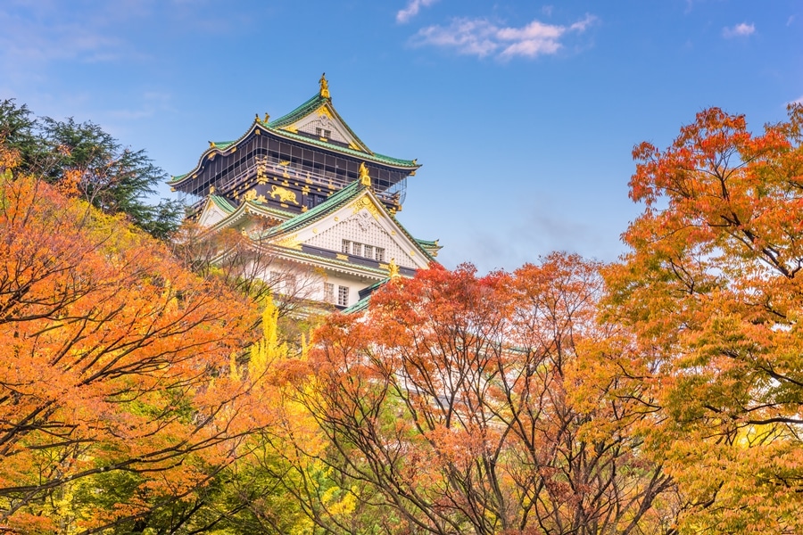 castelo de osaka em segundo plano com árvores a frente Conheça Osaka